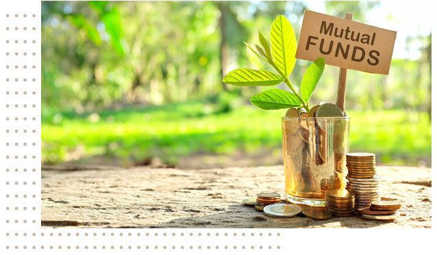 Investment Assessment